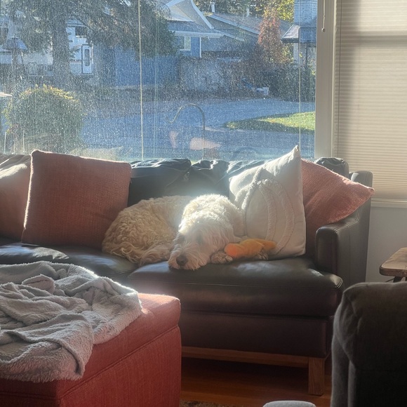 Meet your Posher, Nicole - Picture 3 of 9